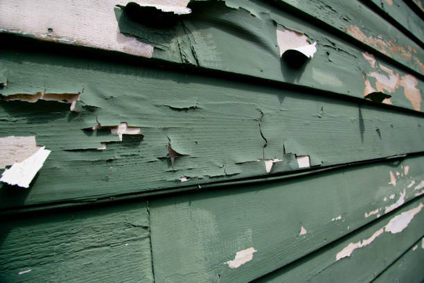 Best Dumpster Rental Services  in Grizzly Flats, CA
